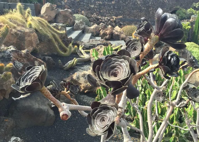 Villa Buganvilla 19 Forever Playa Blanca (Lanzarote)