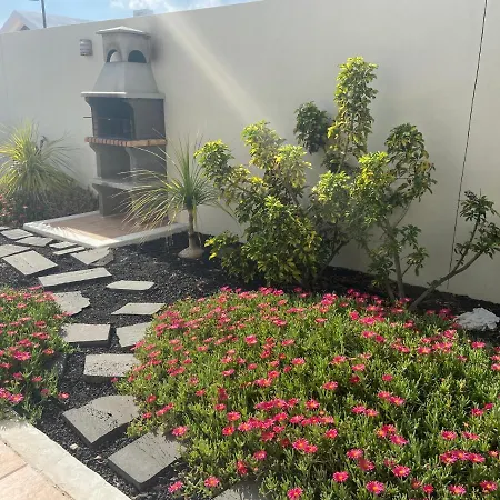 Buganvilla 19 Forever