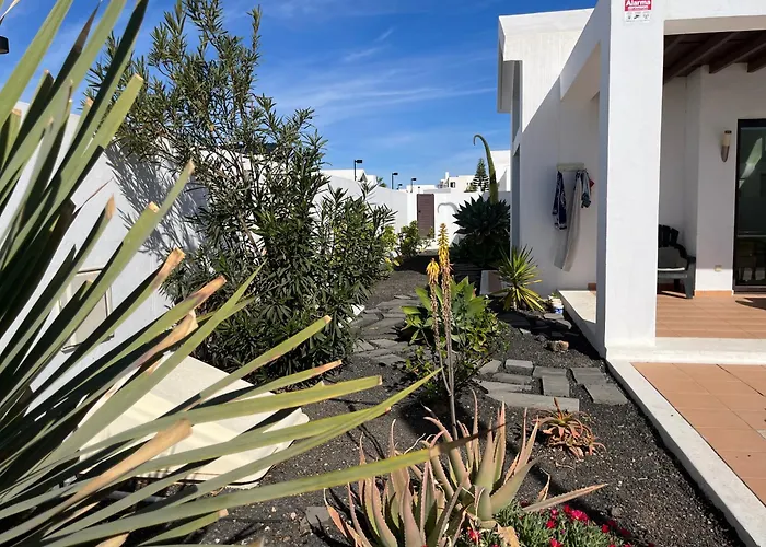 Buganvilla 19 Forever *