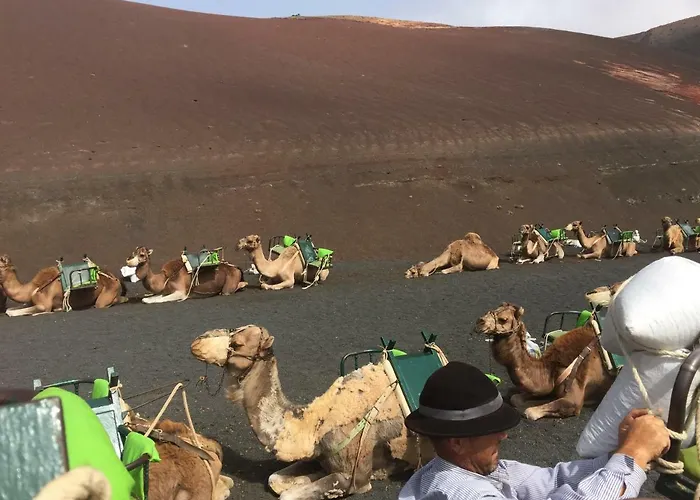 빌라 Buganvilla 19 Forever 플라야블랑카